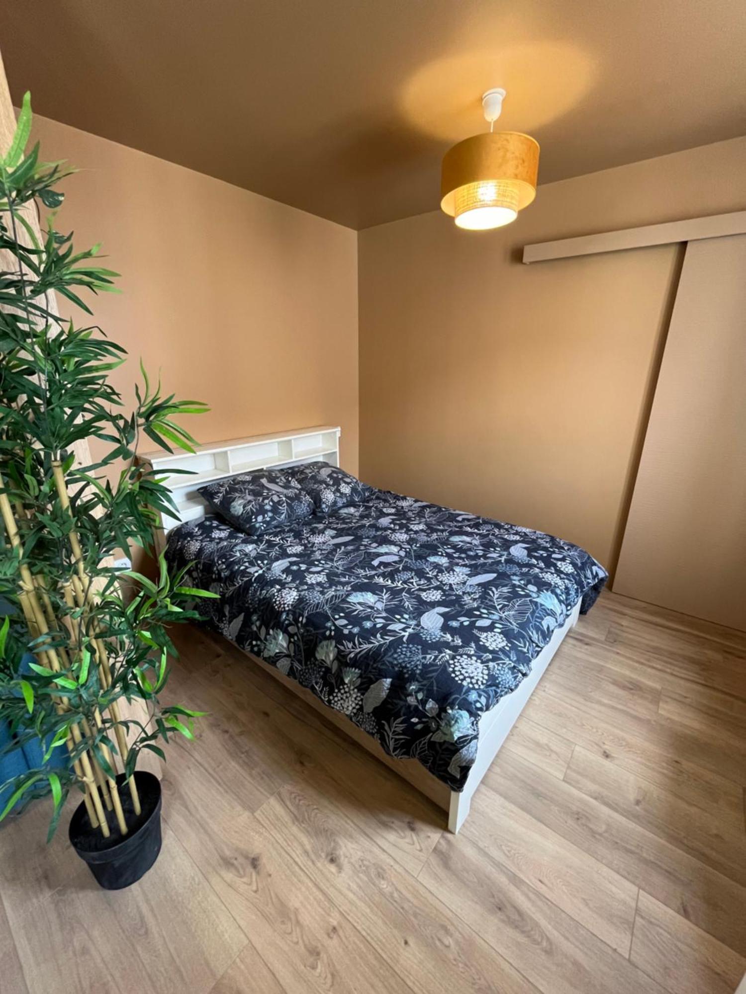 Ferienwohnung L'Ile De Bali, Sejour En Couple Ou Famille Roanne Exterior foto